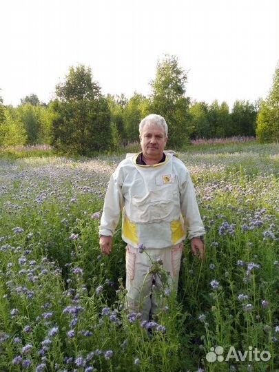 Продаются 10 ульев с пчелами многокорпусные