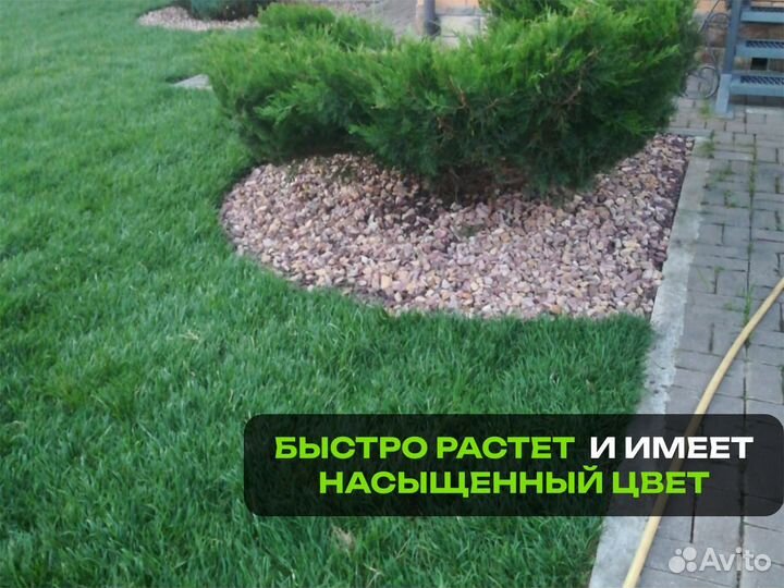 Рулонный газон Универсальный. От производителя