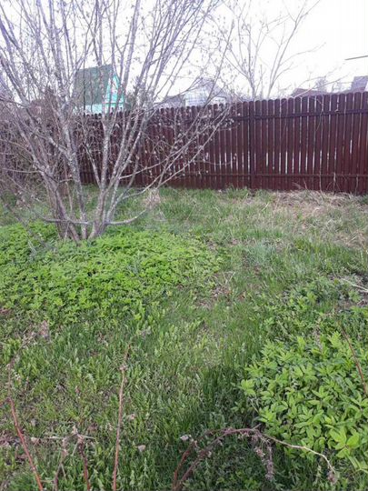 Дача 30 м² на участке 12 сот.