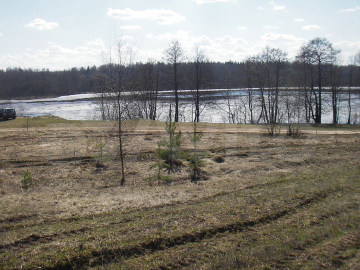 Участок 64 сот. (ИЖС)