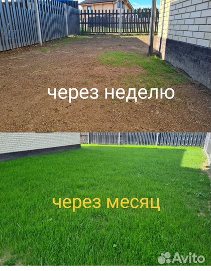 Газон под ключ