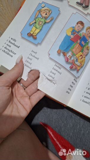 Английский в картинках Г. П.Шалаева