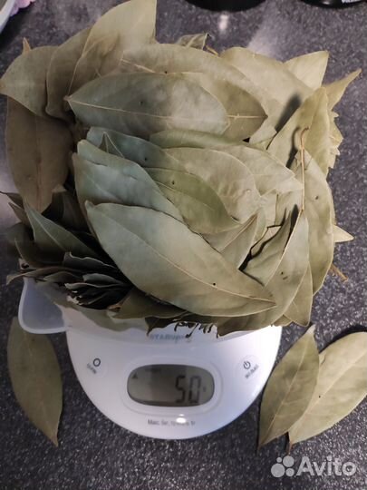 Лавровый лист