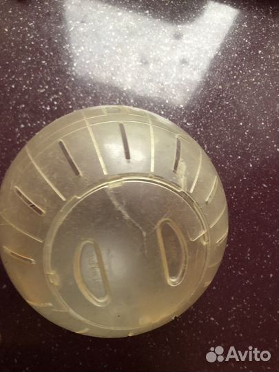 Шарик для хомяка