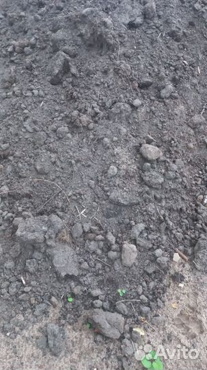Земля плодородная с доставкой