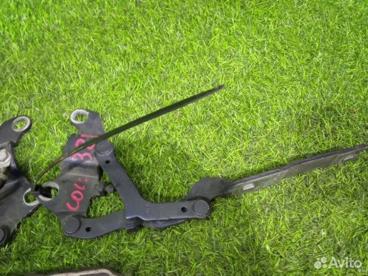 Петля капота Bmw 3-Series E90 N46N 2007