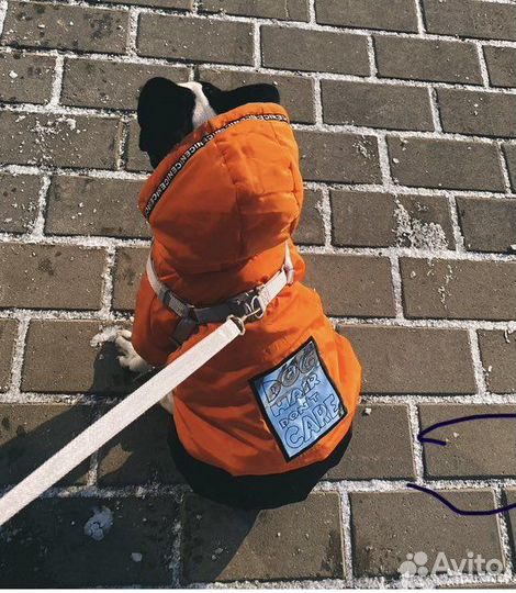 Комбинезон для собаки