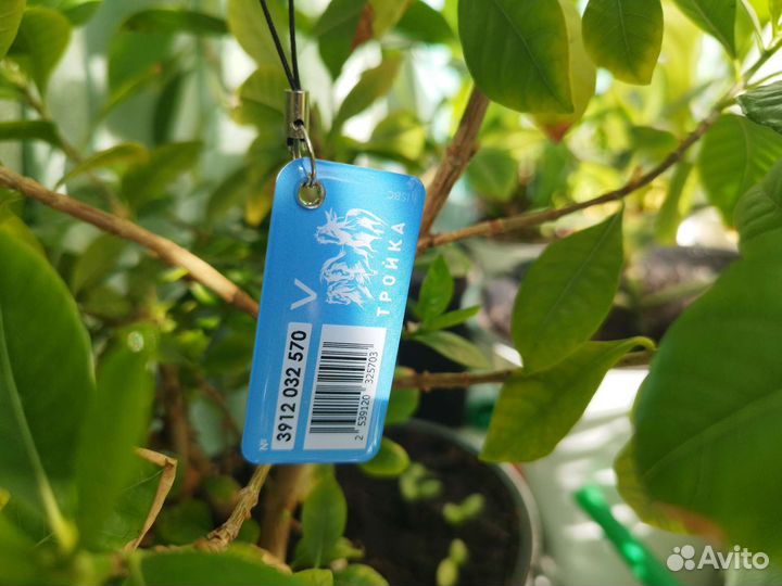 Брелок Тройка Динамо