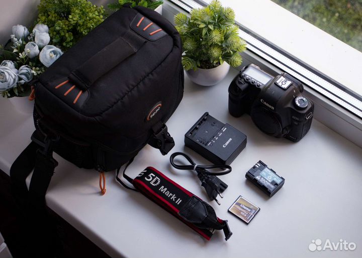 Canon 5D Mark II + Комплект