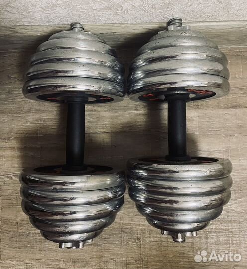 Гантели разборные 50кг (2х25кг)