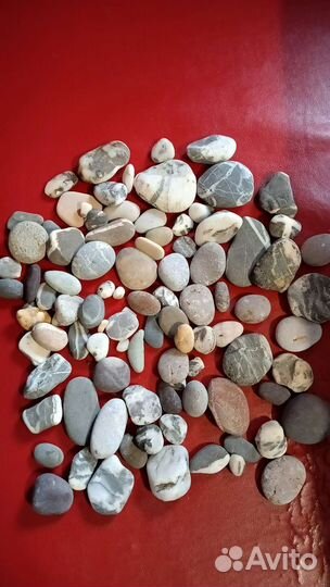Камни и ракушки для декора и аквариума, поделок
