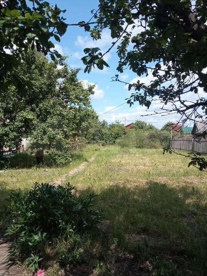 Дача 25,7 м² на участке 7,55 га