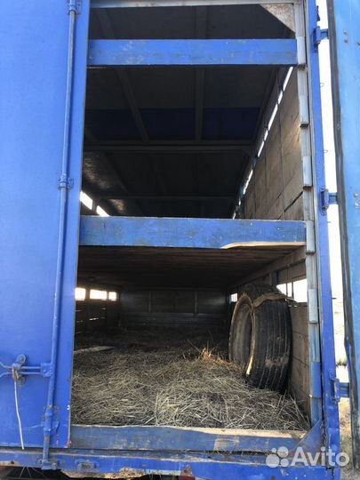Перевозка скота овец баранов 6.5 метров скотовоз