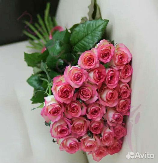 Роза срез Кения