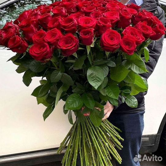 Высокие розы