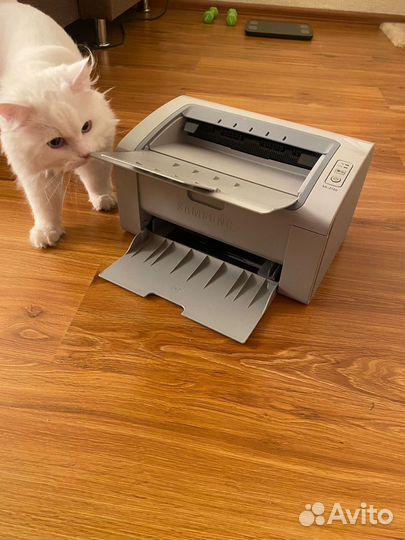Принтер Samsung ML-2160