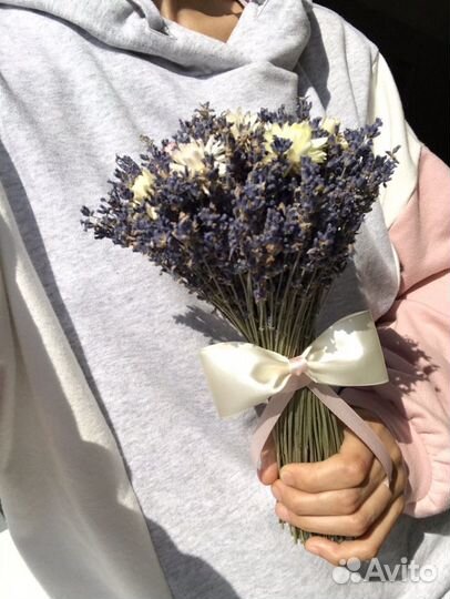 Лаванда с гелихризумом