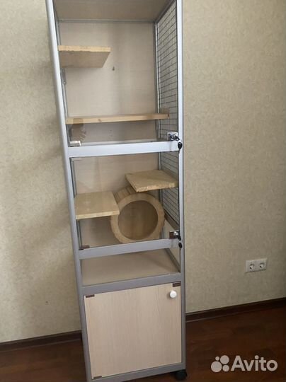 Витрина для шиншилл бу (27,28,29 сентября)