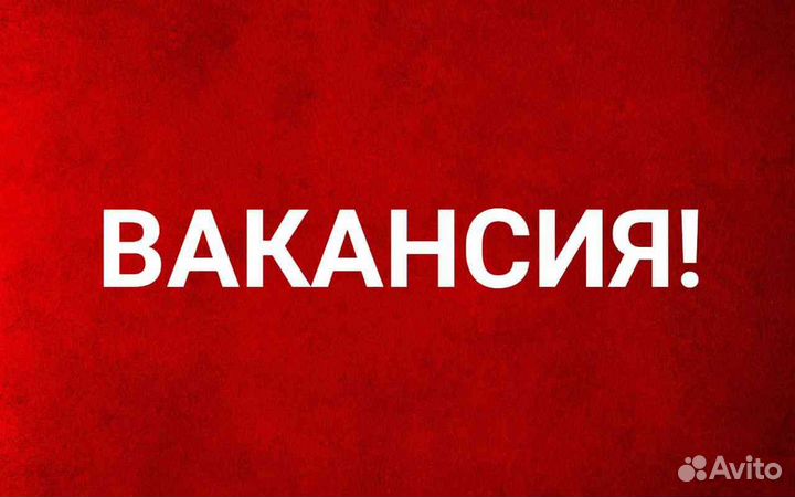 Сотрудник на выкладку товара (через обучение)