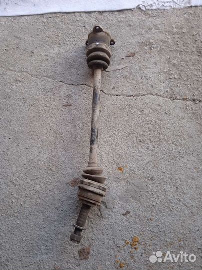 Приват задний