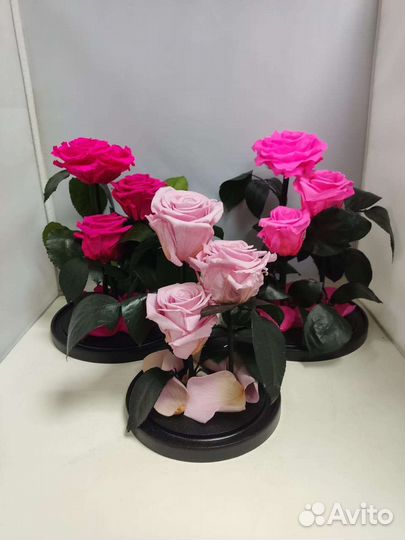 Цветы оптом