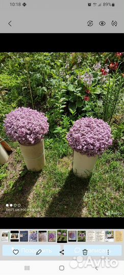 Коллизия розовая пантера