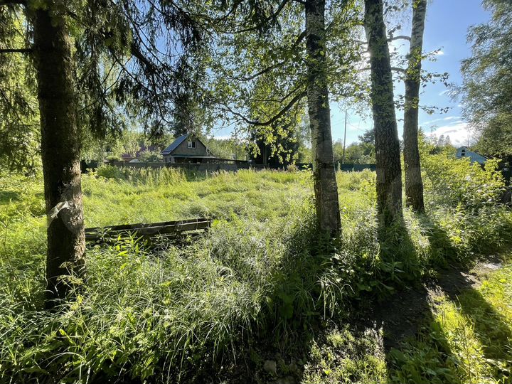 Участок 6 сот. (СНТ, ДНП)