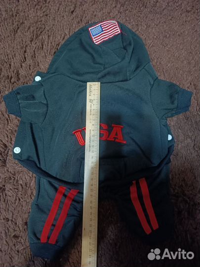 Одежда для собак