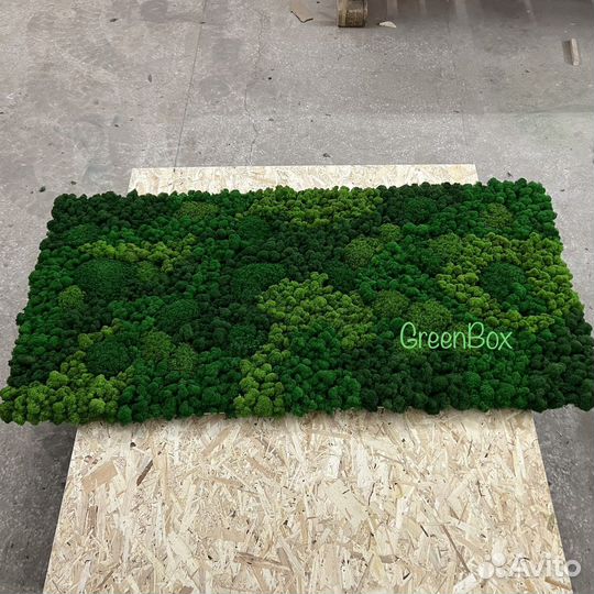 Панно из мха 165*80см