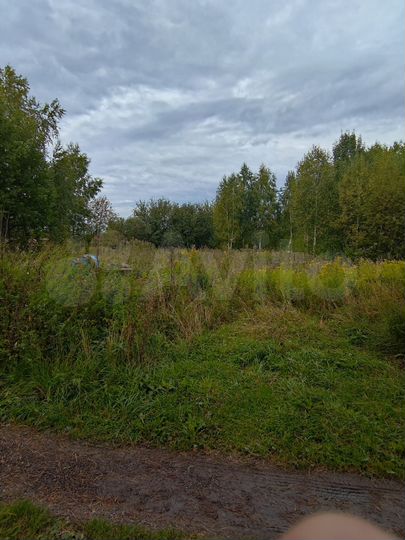 Участок 15 сот. (СНТ, ДНП)