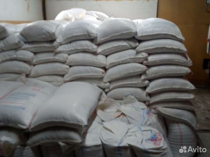 Ячмень Пшеница