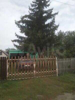 Дом 53 м² на участке 33 сот.