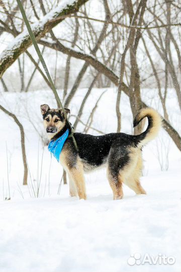 Молодая Джейна попала в приют