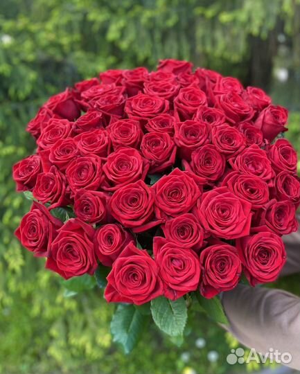 Цветы Букет 11 Роз 51 Роза 101 Роза Красные