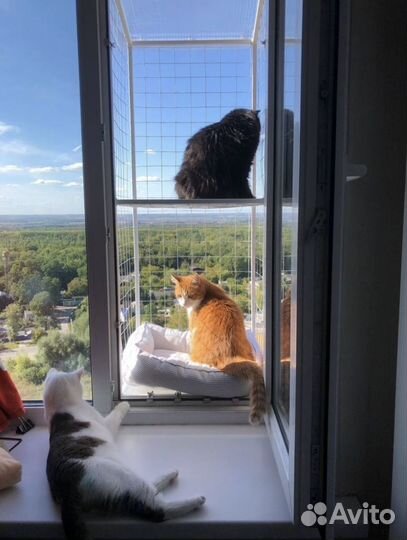 Балкончик для кошки, решетка антикот