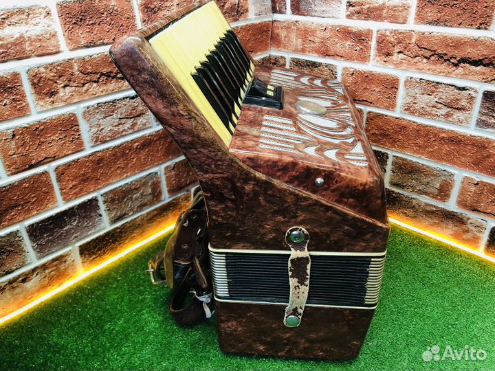 Z.Аккордеон юность-3