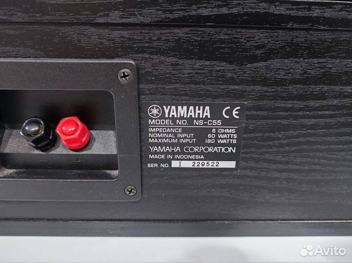 Yamaha NS-E55