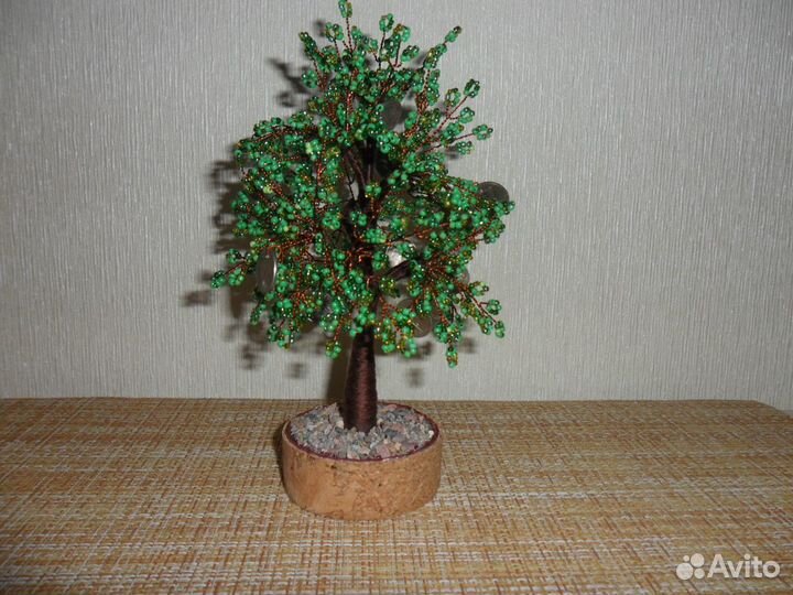 Денежное дерево