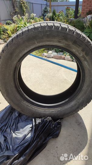 Nexen Winguard Ice 205/65 R16