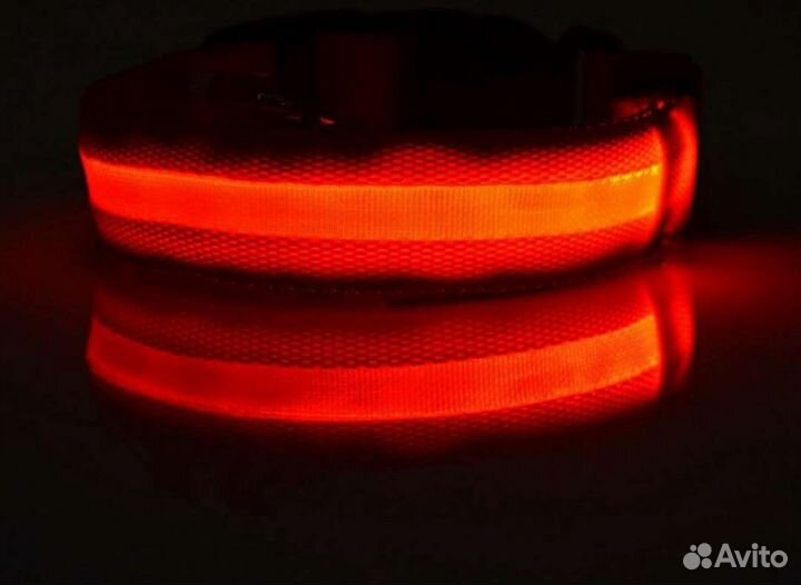 Ошейник светодиодный (красный) светится кнопкой