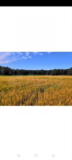 Участок 1,44 га (СНТ, ДНП)