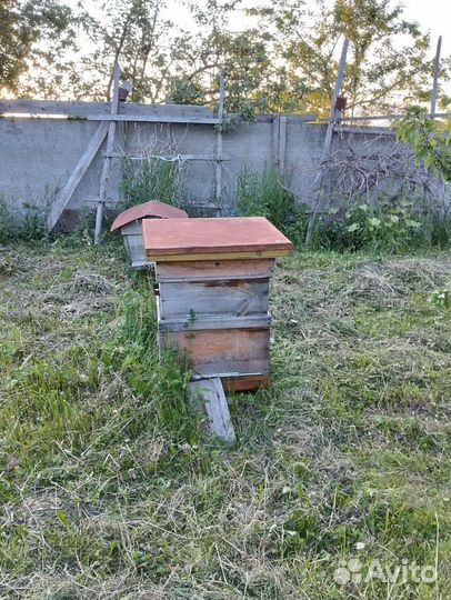 Продаю пчелинные ульи б/у