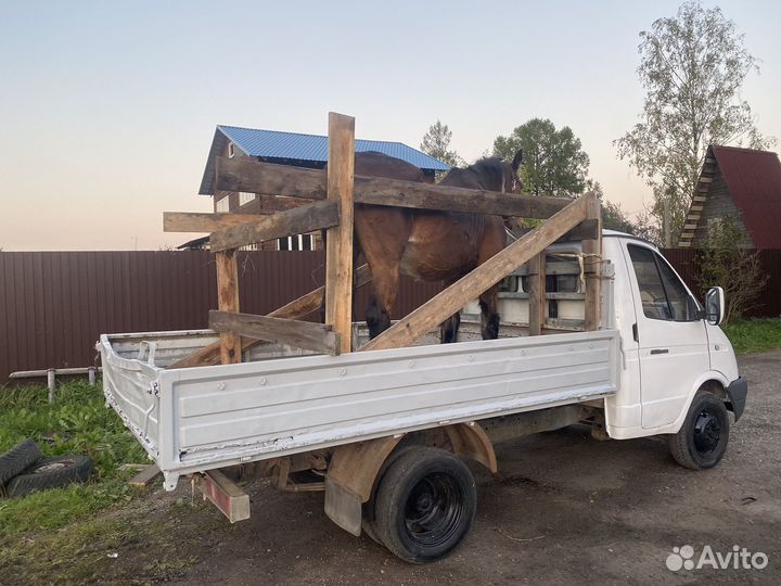 Грузоперевозки газель бортовая