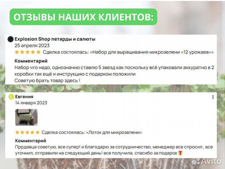 Семена весовые микрозелень