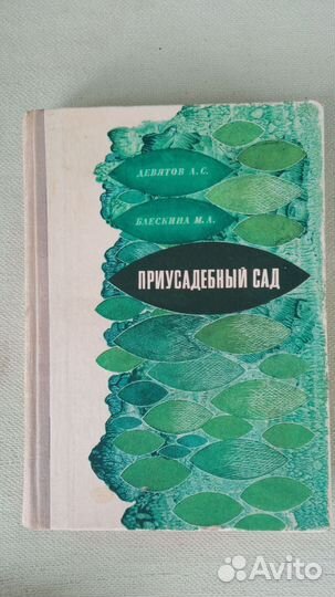 Приусадебный сад 1976г