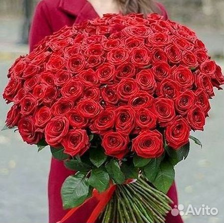 Высокие розы Гигантские Розы 150 160 170 180 190см