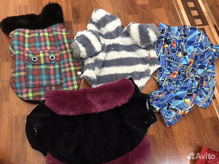 Одежда для маленькой собаки