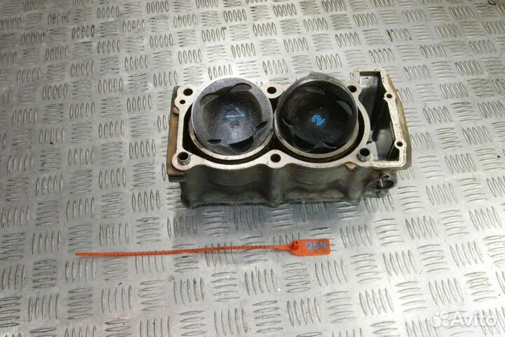 Блок цилиндров с поршнями Yamaha TDM850-1