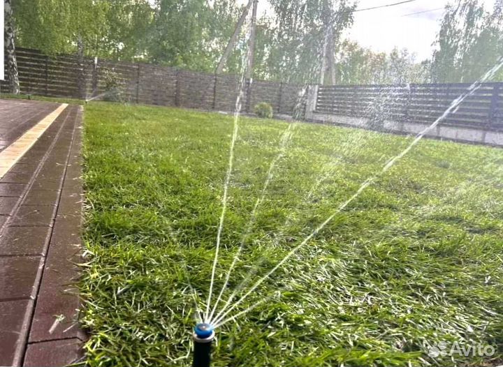 Рулонный газон