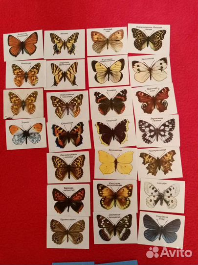 Спичечные этикетки. Бабочки
